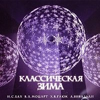 Классическая зима артикул 1342b.